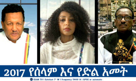 2017 የሰላም እና የድል አመት