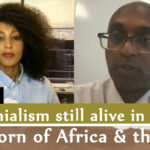 Is colonialism still alive in Africa?The Horn of Africa & the West By Prof. Biniam Awash part two