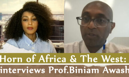 Horn of Africa & The West: Menalesh Meti interviews Prof.Biniam Awash