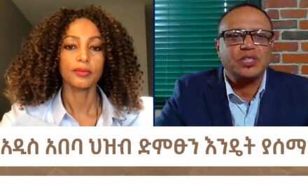 የአዲስ አበባ ህዝብ ድምፁን እንዴት ያሰማ? | Menalesh Meti Mon 21 Oct 2024