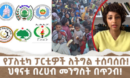 የፓለቲካ ፓርቲዎች ለትግል ተሰባሰቡ! | ህፃናቱ በረሀብ መንግስት በጥጋብ! Menalesh Meti Fri 20 Dec 2024