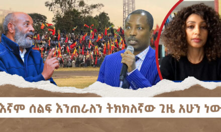 “እኛም ሰልፍ እንጠራለን ትክክለኛው ጊዜ አሁን ነው” | Menalesh Meti Fri 07 Feb 2025