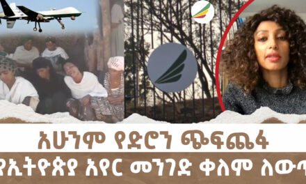 አሁንም የድሮን ጭፍጨፋ | የኢትዮጵያ አየር መንገድ ቀለም ለውጥ | Menalesh Meti Tue 11 Feb 2025