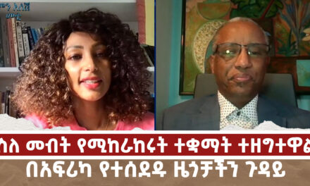 ስለ መብት የሚከራከሩት ተቋማት ተዘግተዋል | በአፍሪካ የተሰደዱ ዜጎቻችን ጉዳይ | Menaleshi Meti Thu 27 Feb 2025