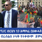 ፕ/ር ክንድያ የፕ/ር ብርሀኑ ነጋ አማካሪ( ህውሀት/ ግንቦት 7)? | Menalesh Meti Mon 14 Apr 2025