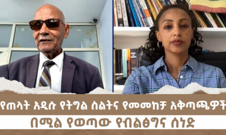 “የጠላት አዲሱ የትግል ስልትና የመመከቻ አቅጣጫዎች” በሚል የወጣው የብልፅግና ሰነድ | Menalesh Meti Fri 23 May 2025