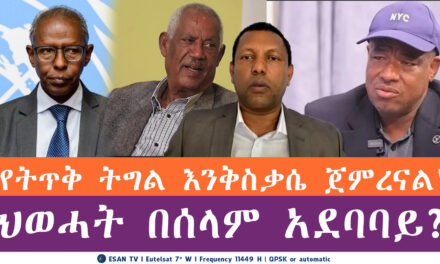 ESAN TV “የትጥቅ ትግል እንቅስቃሴ ጀምረናል” | ህወሓት በሰላም አደባባይ? | Tue 10 Jun 2025